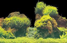 SuperFish - Superfish deco poster e4 120x49 cm