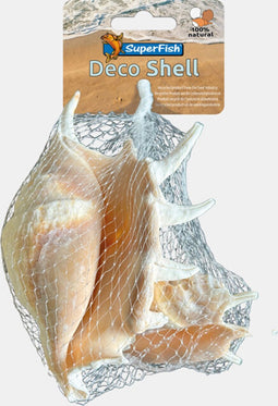 SuperFish Superfish Deco Schelp Spider 200 Gram