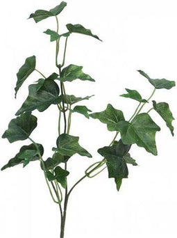 Ivy Chicago Tak 55 cm kunsthangplant