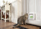 SureFlap Microchip Dualscan - Kattenluik - M - 14 x 12 cm