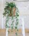 Mica Decorations Eucalyptus - Kunst Hangplant - Onderhoudsvrij - Groen