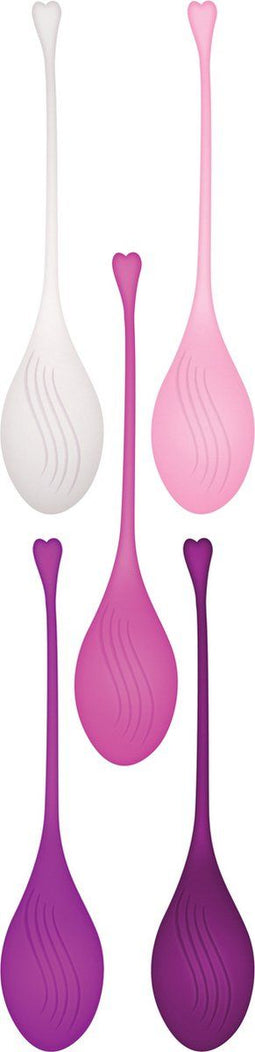 EVOLVED TIGHT & DELIGHT