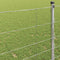 vidaXL - Veldhek - 1,2x50 - m - Gegalvaniseerd - Staal