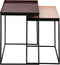 SVJ Bijzettafel Rechthoekig - 36x48x50 cm - Metaal - Bruin - Set van 2