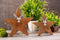 SVJ Deco Sterren - 25x25x7 cm - Mango Hout - Naturel - Set van 2