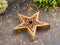 SVJ Deco Sterren - 4x26x26 cm - Mango Hout - Naturel - Set van 3