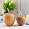 SVJ Decoratieve Appels - 9x9x15 cm - Mango Hout - Naturel - Set van 2