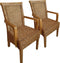 SVJ Eetkamerstoelen - 47x54x97 cm - Rotan - Bruin - Set van 2