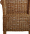 SVJ Eetkamerstoelen - 47x54x97 cm - Rotan - Bruin - Set van 2