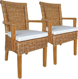 SVJ Eetkamerstoelen - 47x54x97 cm - Rotan - Lichtbruin - Set van 2