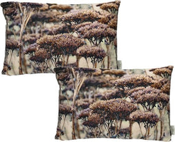 SVJ Home Decorations Eucharis Kussen - 40x60 cm - Fluweel - Set van 2