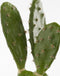 Mica Decorations Cactus Kunstplant in Bloempot - H50 x Ø25 cm - Groen