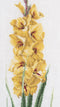 Thea Gouverneur - Borduurpakket met telpatroon - 3072A - Voorgesorteerde DMC Garens - Gele Gladiolen - Aida - 20 cm x 88 cm - DIY Kit