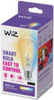WiZ ST64 - Slimme Filamentlamp E27 - Instelbaar wit licht (1x)