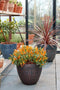 Mica Decorations Bravo Bloempot voor Buiten - H32,5 x Ø38 cm - Bruin gehamerd