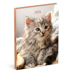 Lannoo Graphics - Diary 2024 - Agenda 2024 - MY FAVOURITE FRIENDS - Kitten - 7d/2p - 4Talig - 110 x 150 mm