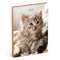 Lannoo Graphics - Diary 2024 - Agenda 2024 - MY FAVOURITE FRIENDS - Kitten - 7d/2p - 4Talig - 110 x 150 mm