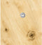 SWG Hox 175 15 60 67 Houtschroef 5 mm 60 mm Interne vertanding Staal Galvanisch verzinkt 80 stuk(s)