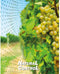 Swissinno Natural-Control netting 4x10m Vogelnet Functies: Afschrikking 1 stuk(s)