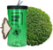 Swissinno Natural Control Tree Moth Trap 1 440 001K Lokstof Buxusmotval Groen (transparant) 1 stuk(s)