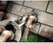 Swissinno Rodent Stop Staalwol 50 cm x 5 cm