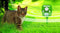 Swissinno Ultrasone Dierenverjager Pro