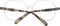 Brillenframe Dames Scotch & Soda SS3014 53487
