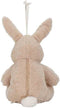 Little Dutch Newborn - Knuffelkonijn Licht & Geluid - Bruin