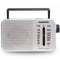 Daewoo DW1122 - Transitorradio - Draagbaar AM/FM - Zilver