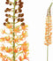 PTMD Eremurus Stengel Kunsttak - 119x12x117 cm - Kunststof - Oranje