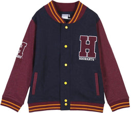 Cerda Group Cotton Brushed Harry Potter Sweatshirt Blauw 7 Years