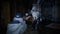 Capcom Resident Evil Village - Gold Edition - PS4 - Winters' Expansion en Third Person Mode