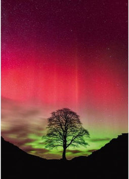 Sycamore Gap
