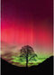 Sycamore Gap
