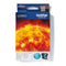 Brother LC980C - Inktcartridge - Origineel - Printcapaciteit 260 pagina's - Cyaan