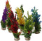 Sydeco kunststofplant AP extra large 39 cm assorti 349700