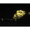 Sygonix SY-4722036 Mini-lichtketting 1 stuk(s)