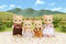 Sylvanian Families 5059 familie beer-fluweelzachte speelfiguren