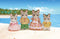 Sylvanian Families 5180 familie gestreepte kat- fluweelzachte speelfiguren