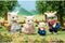 Sylvanian Families Familie geit-fluweelzachte speelfiguren