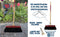 Synx Tools Bezem Colombo StadsBezem 30cm - Rode kap - Natuurvezel haren - Straatbezem haren - Bezems Buiten - Schrobborstels - Buitenbezem steel 150cm