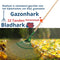 Synx Tools Gazonhark Groen Bladhark met steel - Tuinruimer - 22 tanden | Groen - Verzinkt - Harken / hark met Houten steel 150 cm