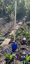 Synx Tools - Kinderspade Junior - schepjes - Speelgoed - Bats / Spade - Buitenspeelgoed / Speelgoed - Tuinsetjes - Tuinierspeelgoed - Zandbakspeelgoed - Kinderen - Inclusief Steel 75cm