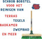 Synx Tools Mos & Tegelborstel 28cm - Bezem - Bezems - Mosbezem - bezem met Steel 150 cm - Schrobbezem - Mos - Onkruidborstel - Harde Borstel-Vloerschrobborstel