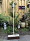Synx Tools Prof Gemeente Bezem 45 cm incl. Steel 150 cm - Straatbezem / Stadsbezem - Harde natuurvezels - veger - Bezems buitenbezem - Tuinbezem -