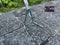 Synx Tools Tuinkrabber 3 tanden -Cultivator - Verzinkt - Hark - Harken - Tuinsetjes - Tuingereedschap - Met Steel 150cm