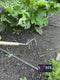 Synx Tools Tuinkrabber 3 tanden -Cultivator - Verzinkt - Hark - Harken - Tuinsetjes - Tuingereedschap - Met Steel 150cm
