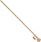 Synx Tools Voegenkrabber - Onkruidborstel - Met reserveborstel - Steel 150 cm - Onkruid