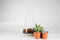 Suck UK Chemistry Terrarium Kit
