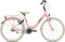 Bike Fun Lots Of Love - Kinderfiets - Meisjes - Roze;Rood - 20 Inch